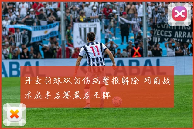 丹麦羽球双打伤病警报解除 网前战术成季后赛最后王牌